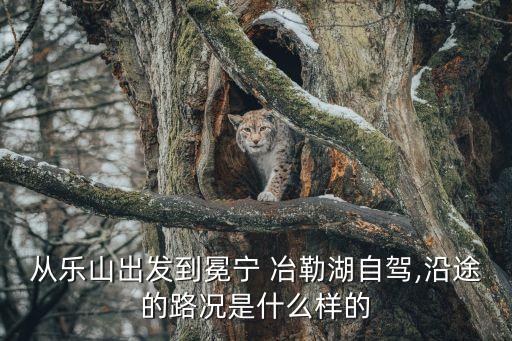 從樂山出發到冕寧 冶勒湖自駕,沿途的路況是什么樣的