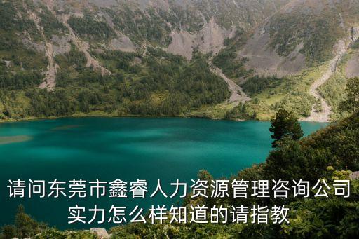請問東莞市鑫睿人力資源管理咨詢公司實力怎么樣知道的請指教