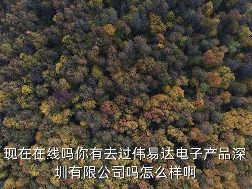 深圳偉萊達電子，偉易達電子產品深圳有限公司 怎么樣