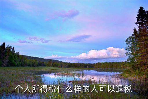 個人所得稅什么樣的人可以退稅