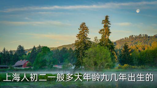 上海人初二一般多大年齡九幾年出生的
