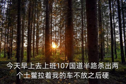 今天早上去上班107國(guó)道半路殺出兩個(gè)土鱉拉著我的車不放之后硬