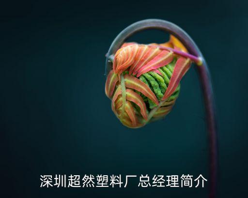 孫劍鋒深圳，深圳南山科技園總經理叫什么名字