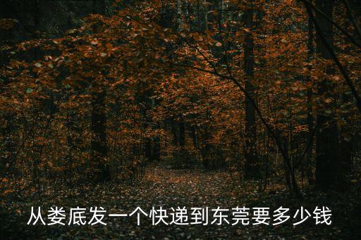 湖南婁底寄快遞到東莞道，從湖南婁底到廣東東莞哪種郵寄方式最快