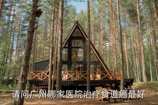 廣州市食道癌去哪治療，請問在廣東有沒有幾家治療食道癌比較出名比較權威的醫院