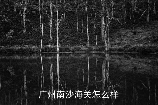 廣州南沙海關(guān)怎么樣