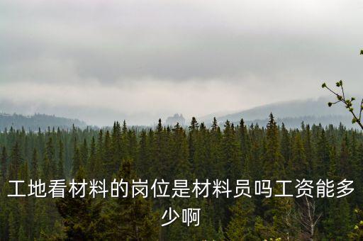 工地看材料的崗位是材料員嗎工資能多少啊
