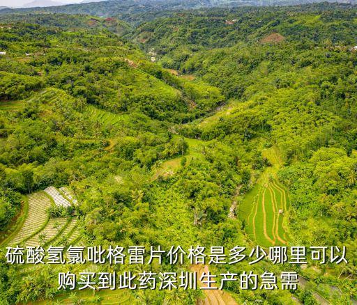 深圳氯吡格雷，硫酸氫氯吡格雷片價格是多少哪里可以購買到此藥深圳生產的急需