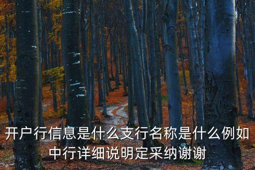 開戶行信息是什么支行名稱是什么例如中行詳細說明定采納謝謝