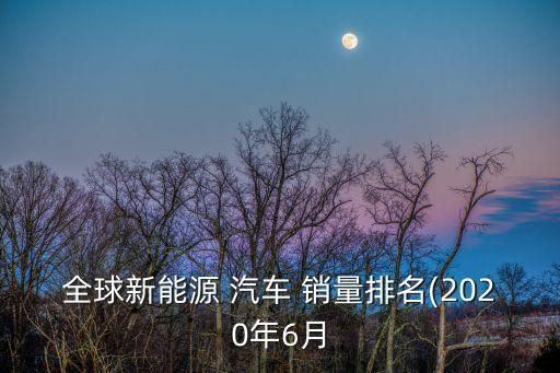 全球新能源 汽車 銷量排名(2020年6月