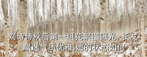 劉詩詩秋后第一組花絮圖曝光, 長發 飄逸氣質優雅,她的狀態如何