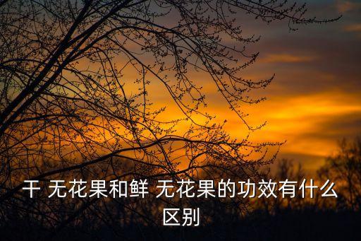 干 無花果和鮮 無花果的功效有什么區別