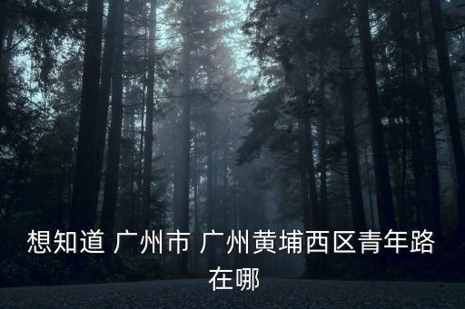 廣州黃埔區(qū)青年路，想知道 廣州市 廣州黃埔西區(qū)青年路 在哪
