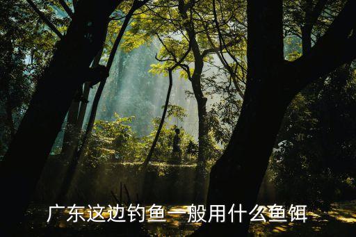 廣州釣鯽魚用什么餌，廣東這邊釣魚一般用什么魚餌