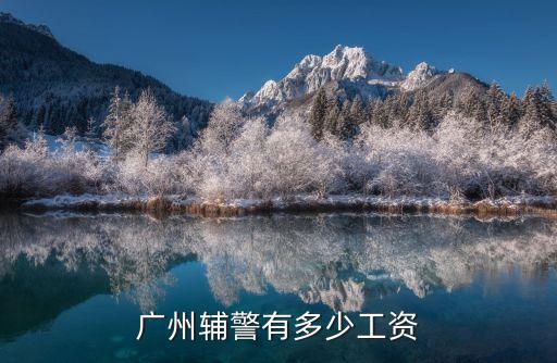 廣州輔警2016工資，廣州輔警待遇