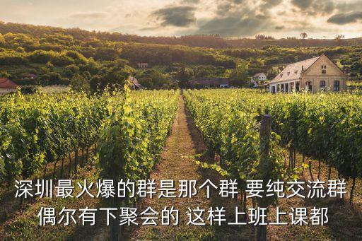 深圳 約 微信群，深圳最火爆的群是那個群 要純交流群 偶爾有下聚會的 這樣上班上課都