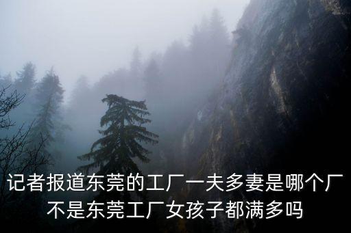 記者報(bào)道東莞的工廠一夫多妻是哪個(gè)廠不是東莞工廠女孩子都滿多嗎