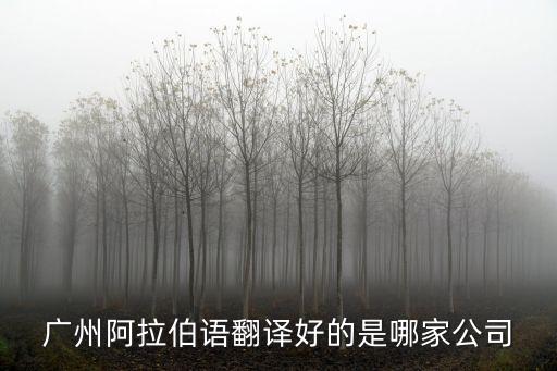廣州阿拉伯，阿拉伯語在廣東有用嗎