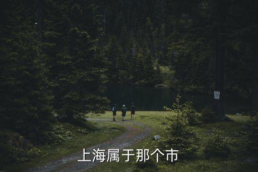 上海屬于那個市