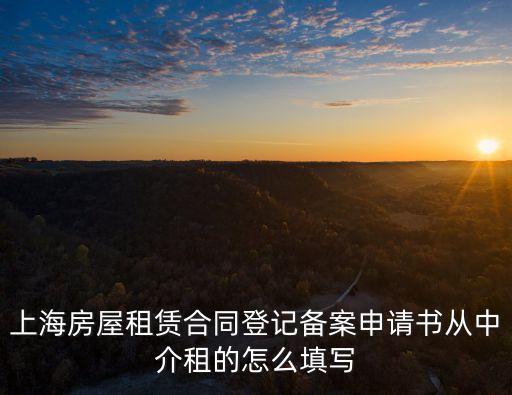 上海房屋租賃合同登記備案申請書從中介租的怎么填寫