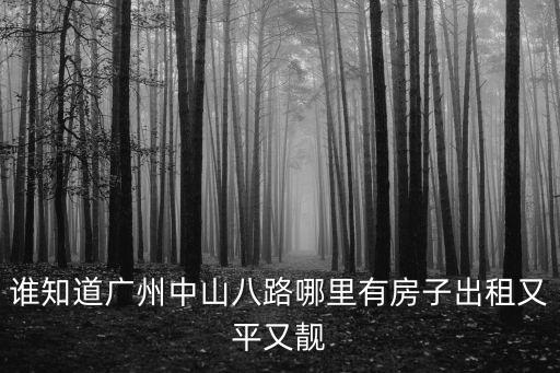 廣州中山八路 住宿，廣州中山八路附近租房有沒有500元左右的