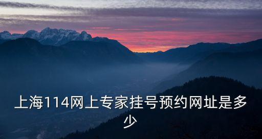 上海市專家在線系統(tǒng)下載，上海114網(wǎng)上專家掛號(hào)預(yù)約網(wǎng)址是多少