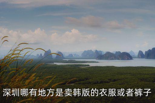 深圳哪里有賣韓版泳衣，請問那位知道深圳那里有中高檔次的韓版衣服批發的啊