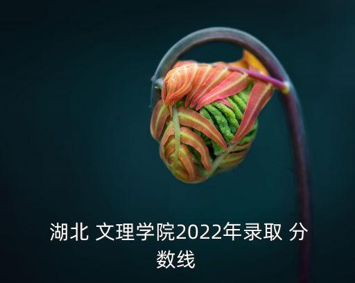 湖北文理學院分數線