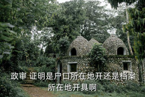 政審證明