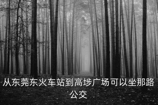 東莞火車站到高抖嗌俟里，從東莞東火車站到高埗廣場可以坐那路公交