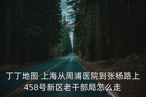 丁丁地圖 上海從周浦醫院到張楊路上458號新區老干部局怎么走