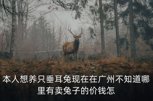 本人想養(yǎng)只垂耳兔現(xiàn)在在廣州不知道哪里有賣兔子的價錢怎
