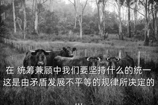 在 統籌兼顧中我們要堅持什么的統一這是由矛盾發展不平等的規律所決定的...