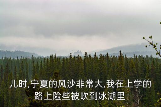 兒時,寧夏的風沙非常大,我在上學的路上險些被吹到冰湖里
