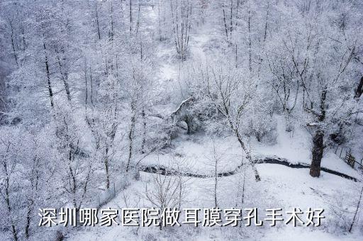 深圳哪家醫(yī)院做耳膜穿孔手術(shù)好