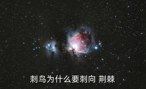 刺鳥為什么要刺向 荊棘