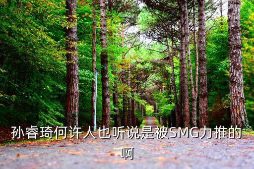 上海市文廣局產業處處長，袁文霆的基本資料