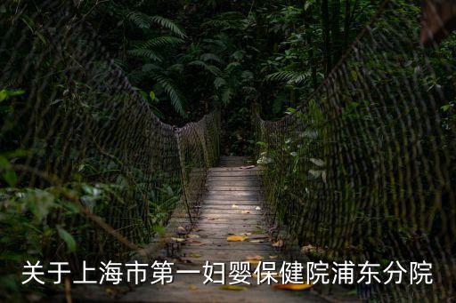 上海市一婦嬰東院地址，關于上海市第一婦嬰保健院浦東分院