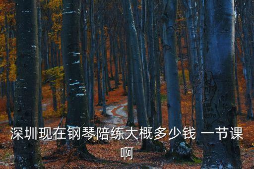 深圳兒童鋼琴培訓(xùn)費(fèi)用，鋼琴培訓(xùn)班多少錢 深圳