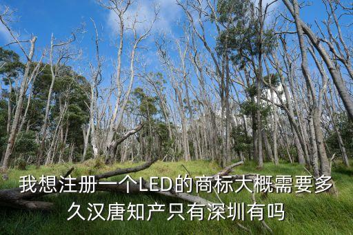 深圳漢唐知識產權，我想注冊一個LED的商標大概需要多久漢唐知產只有深圳有嗎