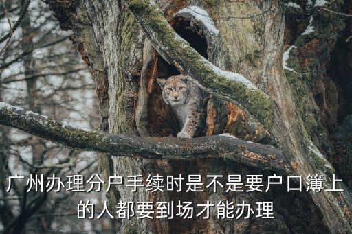 廣州辦理分戶手續時是不是要戶口簿上的人都要到場才能辦理