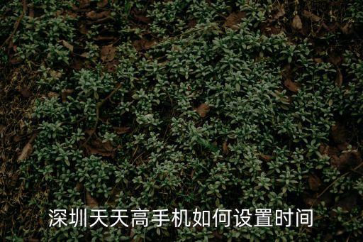 深圳天天高手機如何設(shè)置時間