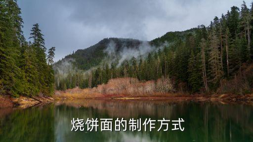 發面燒餅的做法,河南發面燒餅的做法1.2）