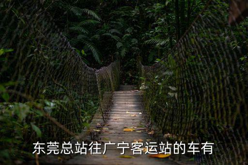 東莞總站往廣寧客運站的車有