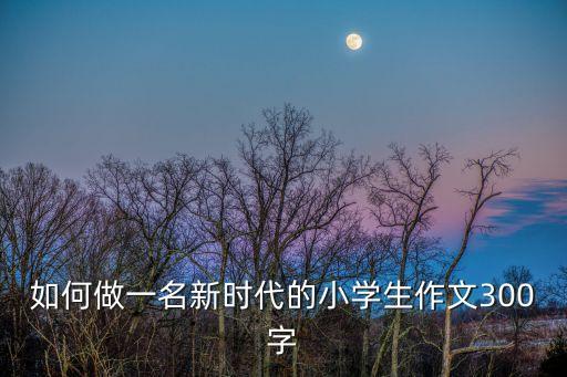 自豪的建設(shè)者