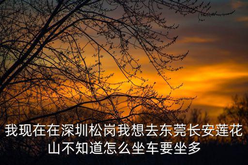 我現在在深圳松崗我想去東莞長安蓮花山不知道怎么坐車要坐多