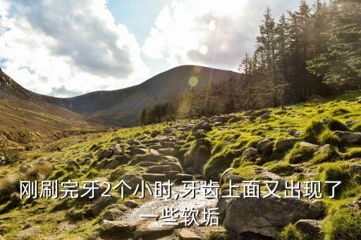 貝氏刷牙法,巴氏刷牙法完整視頻