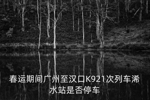 2019春運臨客廣州東至漢口車站，買的票1月29號廣州東到漢口的臨客是1月30上午10點10分左右到漢