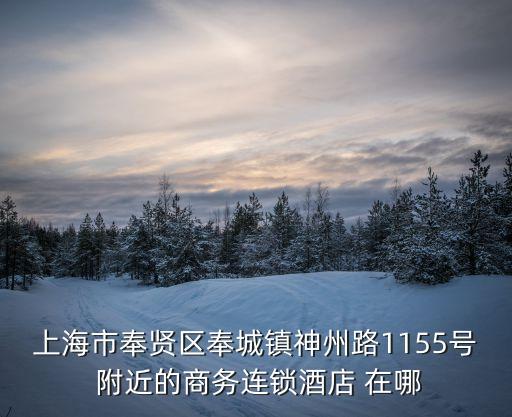 上海市奉賢區奉城鎮神州路1155號 附近的商務連鎖酒店 在哪