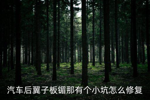 汽車后翼子板镅那有個(gè)小坑怎么修復(fù)